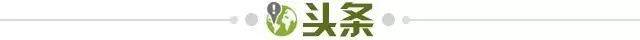 蜂鸟电竞官网-【早报】曼城主场战平，遭遇各项赛事六场不胜